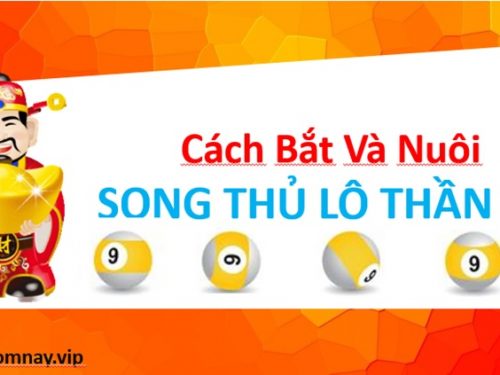 Hướng dẫn cách bắt và nuôi song thủ lô miền bắc lãi cao nhất